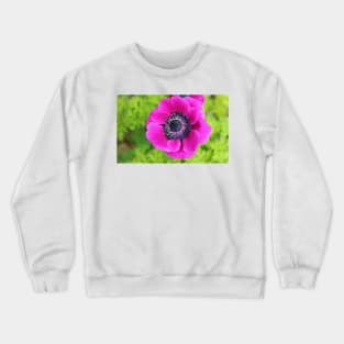 Circle In The Middle Crewneck Sweatshirt